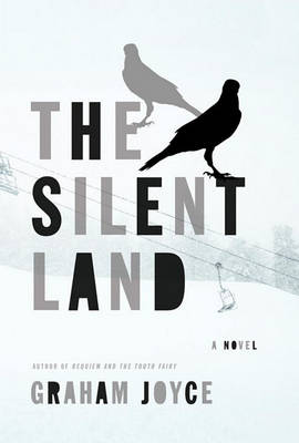 Book cover for The Silent Land