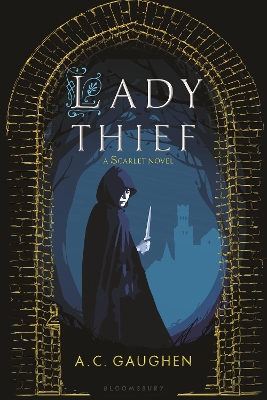 Book cover for Lady Thief