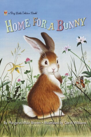 Home for a Bunny