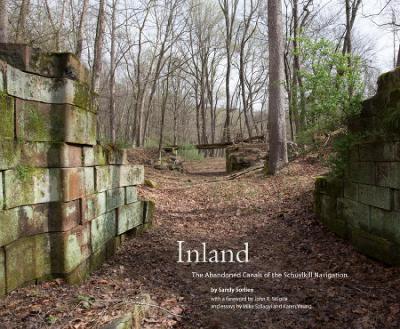 Book cover for Inland