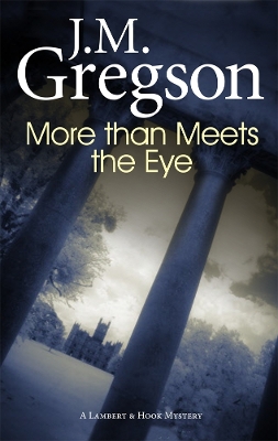 Book cover for More Than Meets the Eye