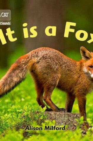 Cover of It is a Fox