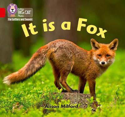 Book cover for It is a Fox