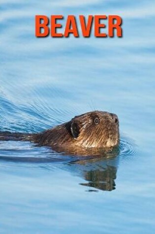 Cover of Beaver