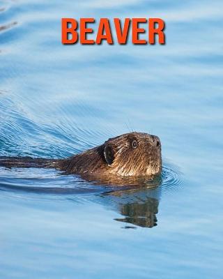 Book cover for Beaver