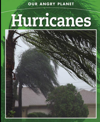 Book cover for Hurricanes