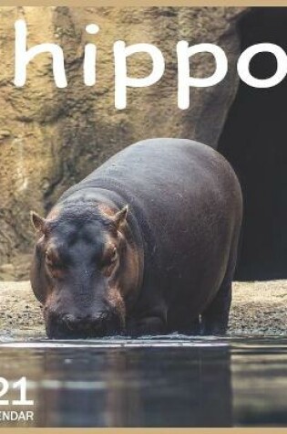 Cover of 2021 hippo