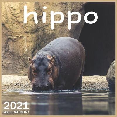 Book cover for 2021 hippo