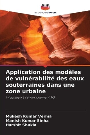 Cover of Application des mod�les de vuln�rabilit� des eaux souterraines dans une zone urbaine