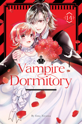 Cover of Vampire Dormitory 14