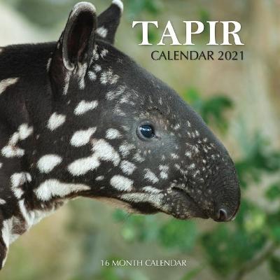 Book cover for Tapir Calendar 2021