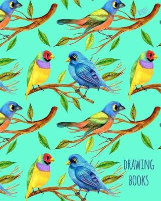 Book cover for Drawing Books Birds