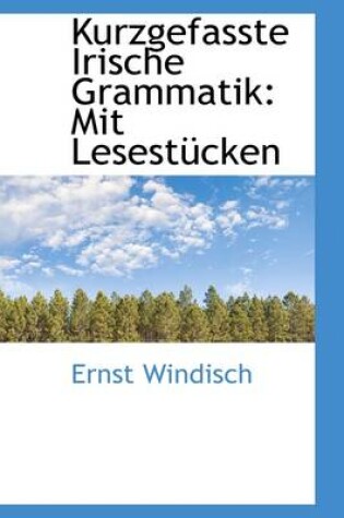 Cover of Kurzgefasste Irische Grammatik