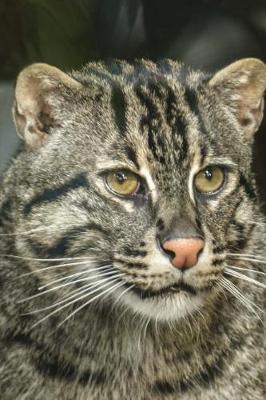 Book cover for A Cool Fishing Cat Endangered Animal Journal