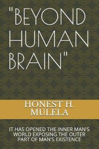 Cover of "beyond Human Brain"