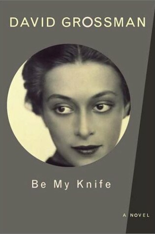 Cover of Be My Knife