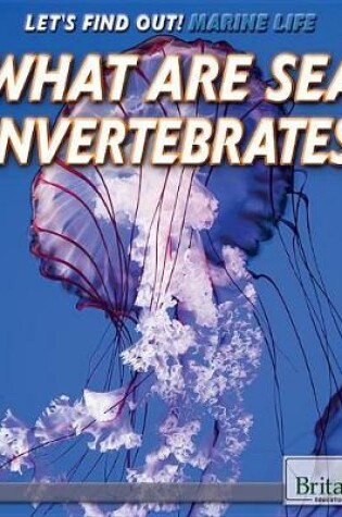 Cover of What Are Sea Invertebrates?