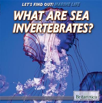 Book cover for What Are Sea Invertebrates?