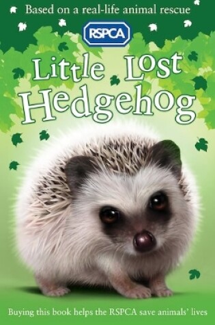 Cover of Little Lost Hedgehog