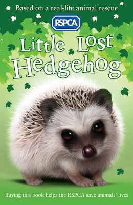 Book cover for Little Lost Hedgehog