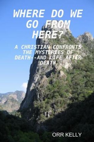 Cover of Where Do We Go from Here : A Chrisitan Confronts The Mysteries Of Death--And Life After Deathe