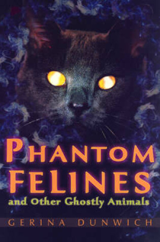 Cover of Phantom Felines