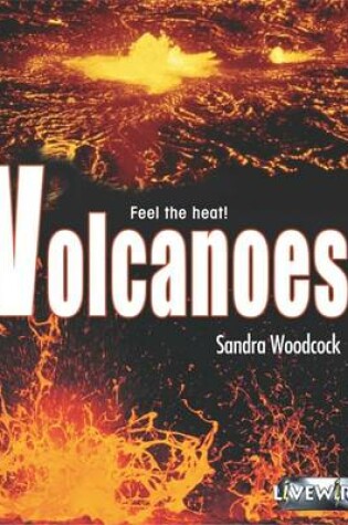 Cover of Livewire Investigates Volcanoes