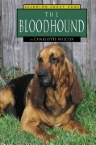 Cover of The Bloodhound