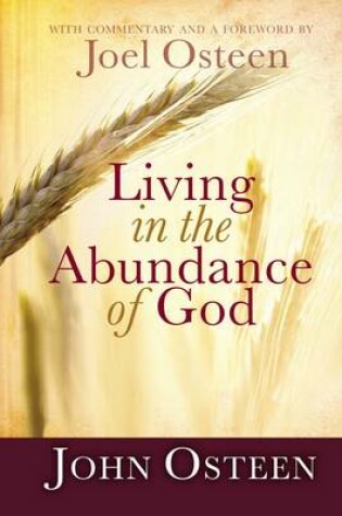 Cover of Living In The Abundance Of God