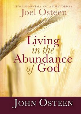 Book cover for Living In The Abundance Of God