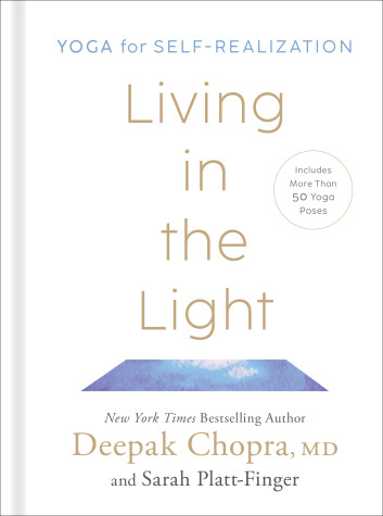 Book cover for Living in the Light