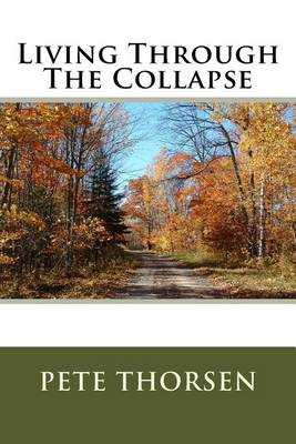 Book cover for Living Through The Collapse