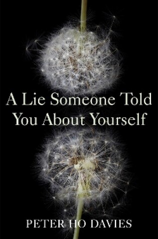 Cover of A Lie Someone Told You About Yourself