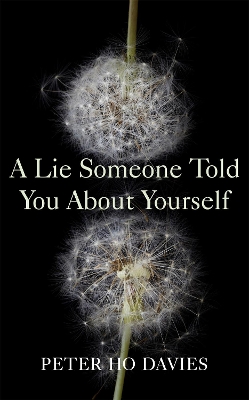 Book cover for A Lie Someone Told You About Yourself