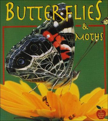 Book cover for Butterflies and Moths