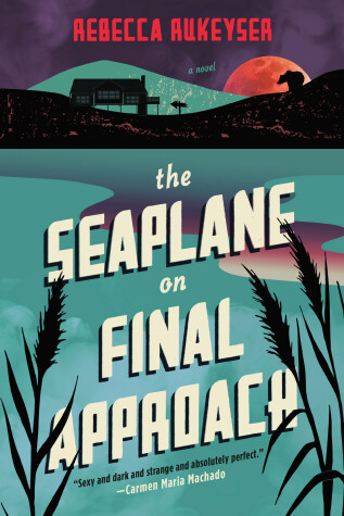 Book cover for The Seaplane on Final Approach