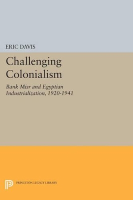 Book cover for Challenging Colonialism