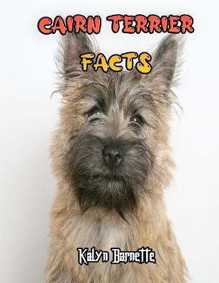 Book cover for Cairn Terrier Facts