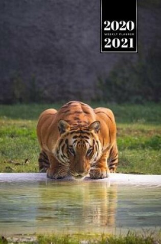 Cover of Tiger Week Planner Weekly Organizer Calendar 2020 / 2021 - Sunbeams