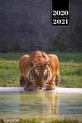 Book cover for Tiger Week Planner Weekly Organizer Calendar 2020 / 2021 - Sunbeams