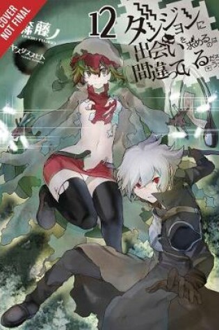 Cover of Is It Wrong to Try to Pick Up Girls in a Dungeon?, Vol. 12 (light novel)