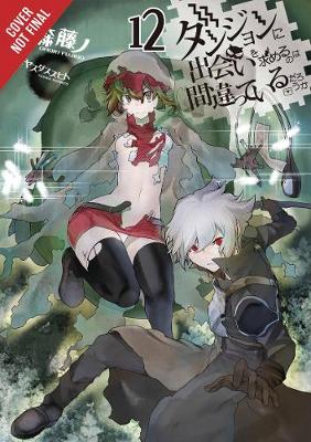 Book cover for Is It Wrong to Try to Pick Up Girls in a Dungeon?, Vol. 12 (light novel)