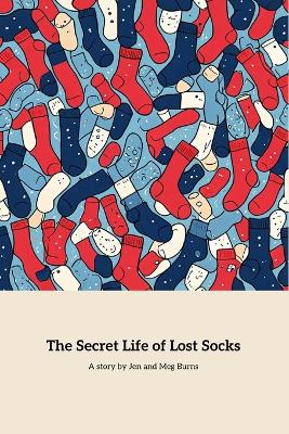 Book cover for The Secret Life Of Lost Socks