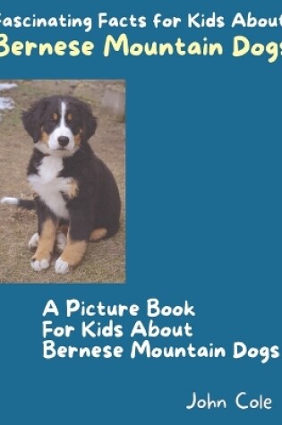 Cover of A Picture Book for Kids About Bernese Mountain Dogs