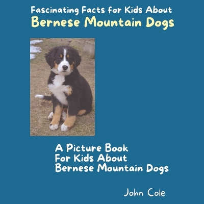 Book cover for A Picture Book for Kids About Bernese Mountain Dogs