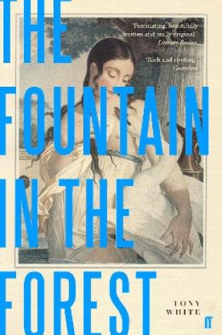 Cover of The Fountain in the Forest