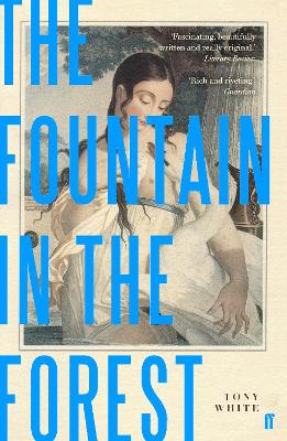 Book cover for The Fountain in the Forest