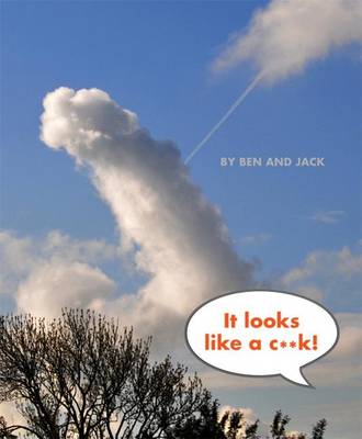 Book cover for It Looks Like A C**K!