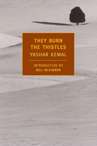 Cover of They Burn the Thistles