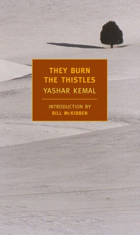 Cover of They Burn the Thistles